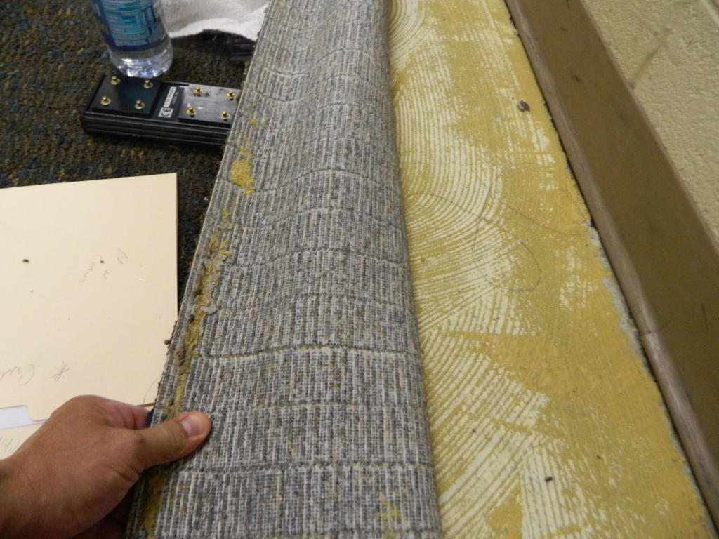 Carpet Bubbles Glue Down Defect Certified Flooring Inspector Near Me