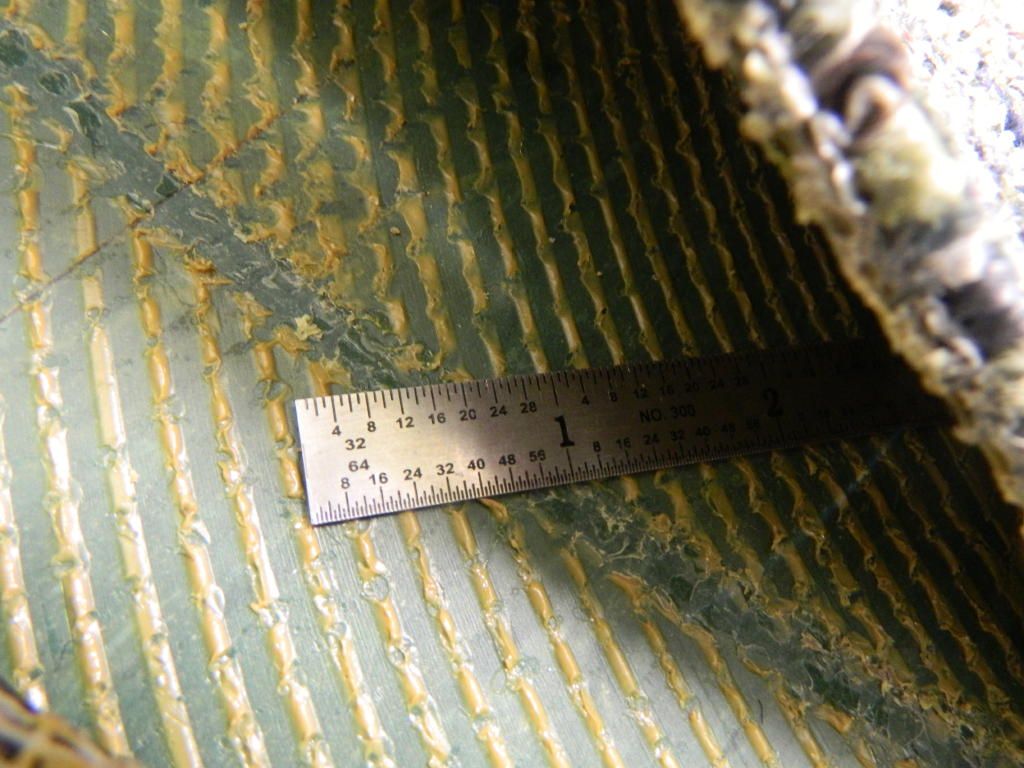 Carpet Bubbles Glue Down Defect Certified Flooring Inspector Near Me