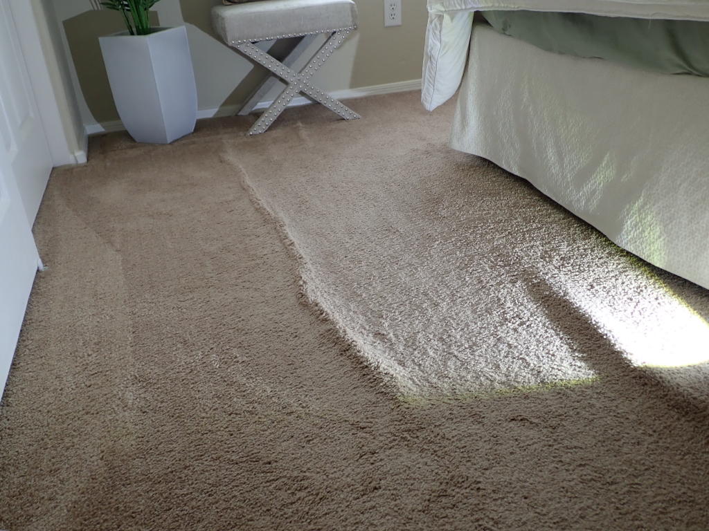 Identify the carpet buckling defects. Contact us for a NWFA-certified