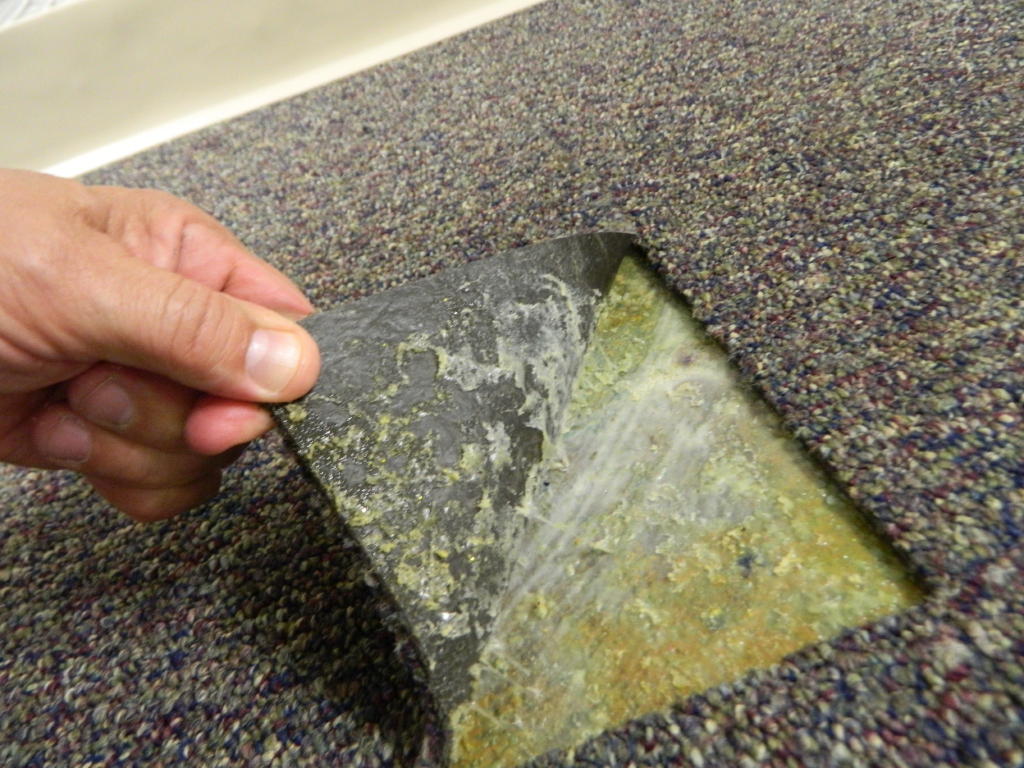 Carpet Tile Curling causes and Solutions At Floor Detective