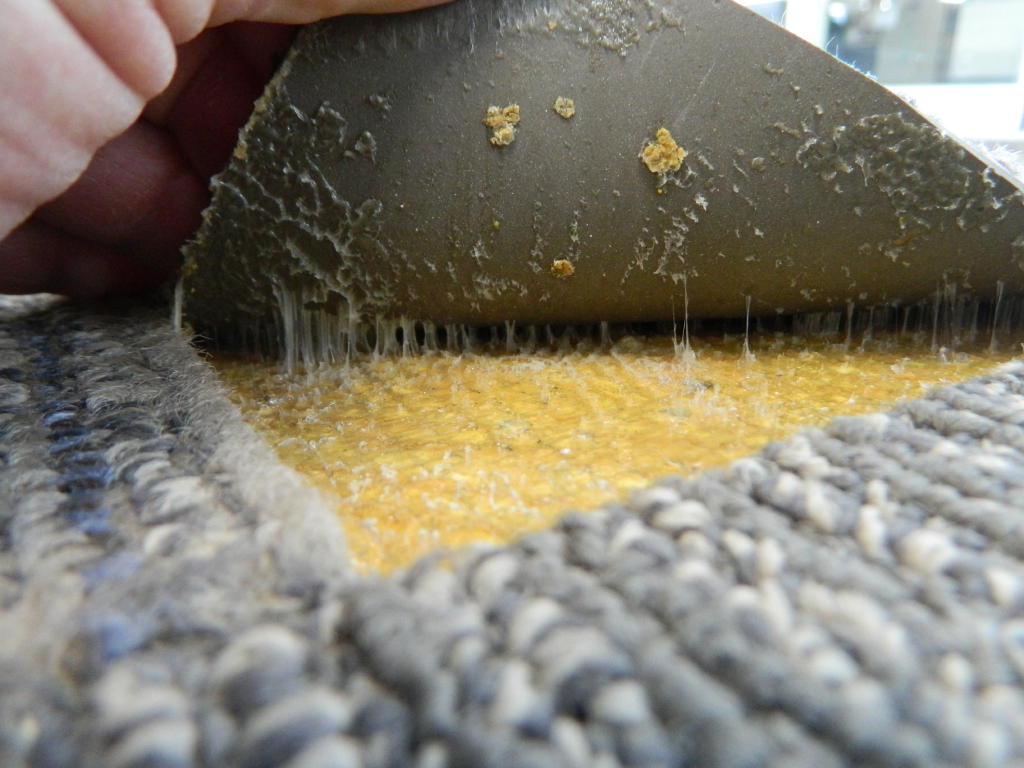 Carpet Tile Curling causes and Solutions At Floor Detective