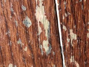 Chair protectors 987666466