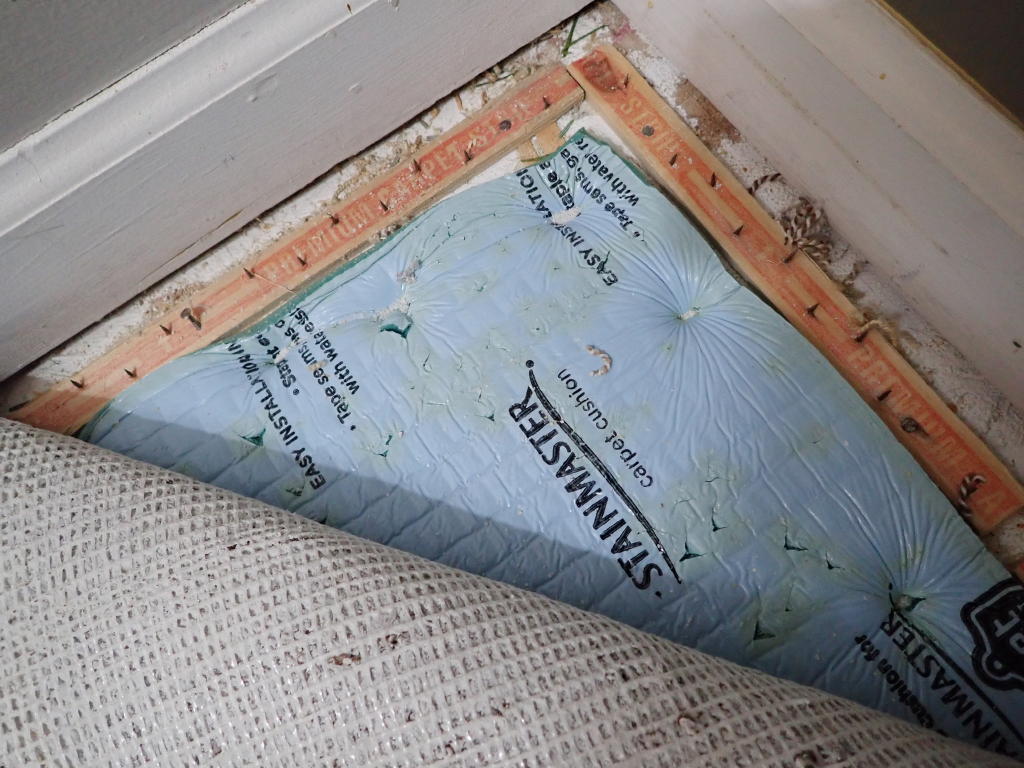 Contact between two components in the carpet can cause crackling noises.