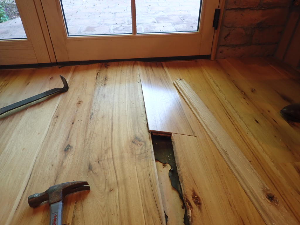 Wood Flooring Buckling Problems and Solutions Flood Detective