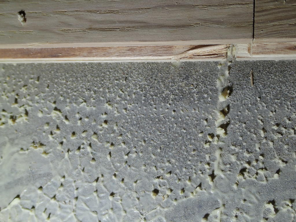 The National Wood Flooring Association Certified Wood Floor Inspector