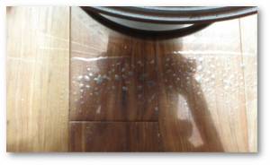 Hardwood-bubbles and finish-29