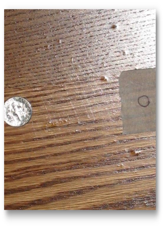 Hardwood-debris in finish-27