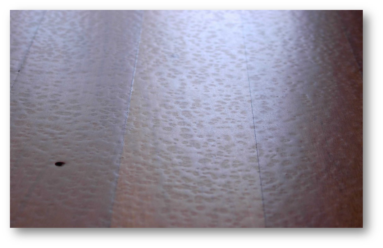 Hardwood-fish eyes-22