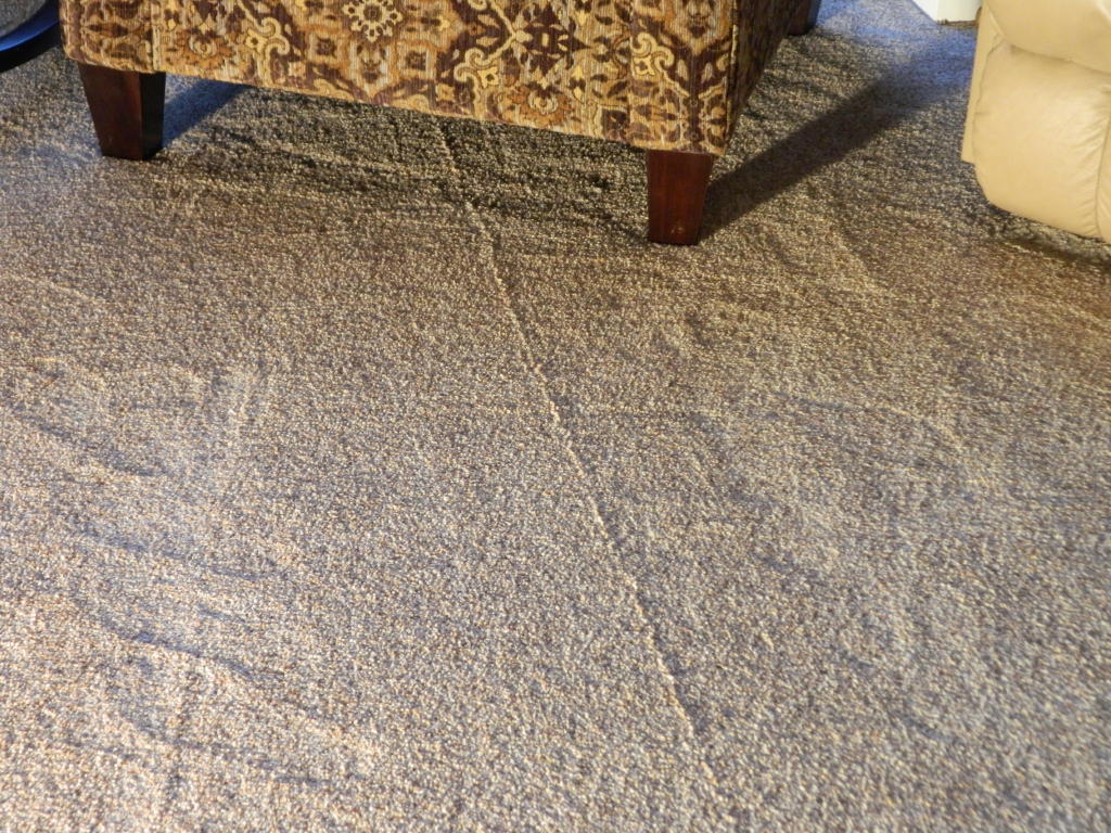 Floor Detective provides carpet flooring issue solutions | Floor Consultant