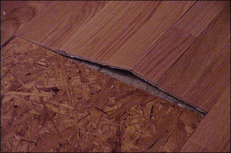 Buckling refers to the lifting of a laminate floor from the subfloor
