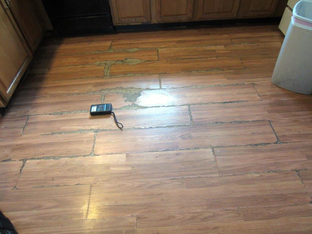 Laminate Water Damage 56 (2)