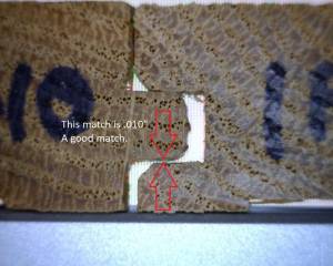 Overwood 2- MH (2) (2)