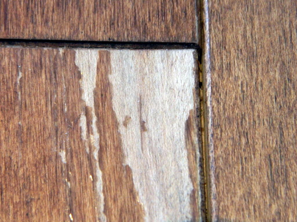 Hardwood Floor Inspector Wood Flooring Inspection Services