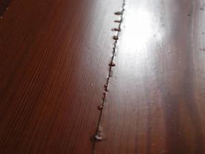 Poly Beads - Craig DeWitt (3)