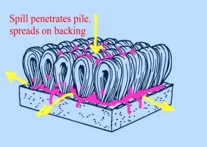 Reappearing spots 4455