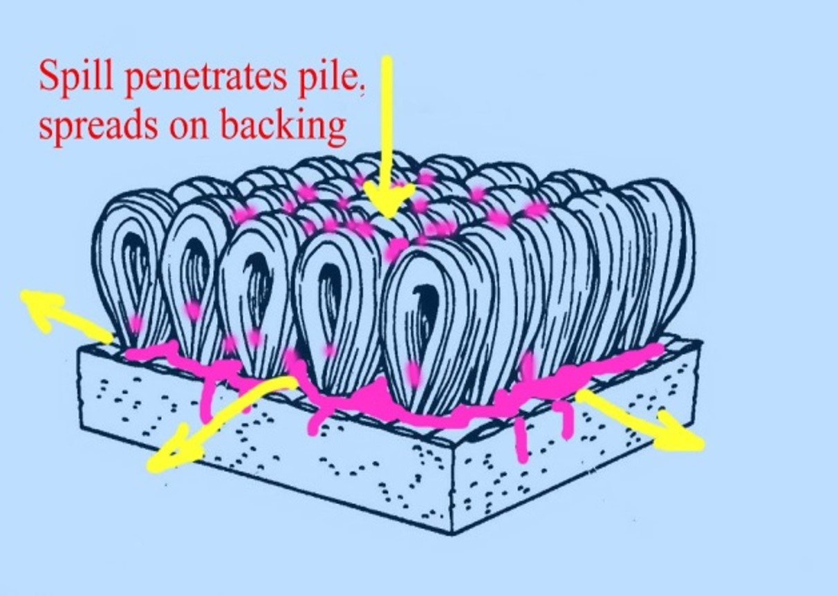 Spot & Stain problem in carpet flooring inspector at floor detective