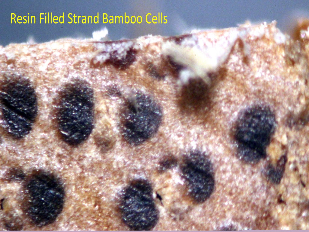 Resin Filled Bamboo Bamboo 1