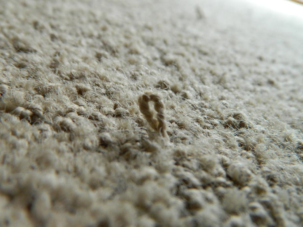 Getting rid of carpet snags with the help of floor detective Floor Inspector