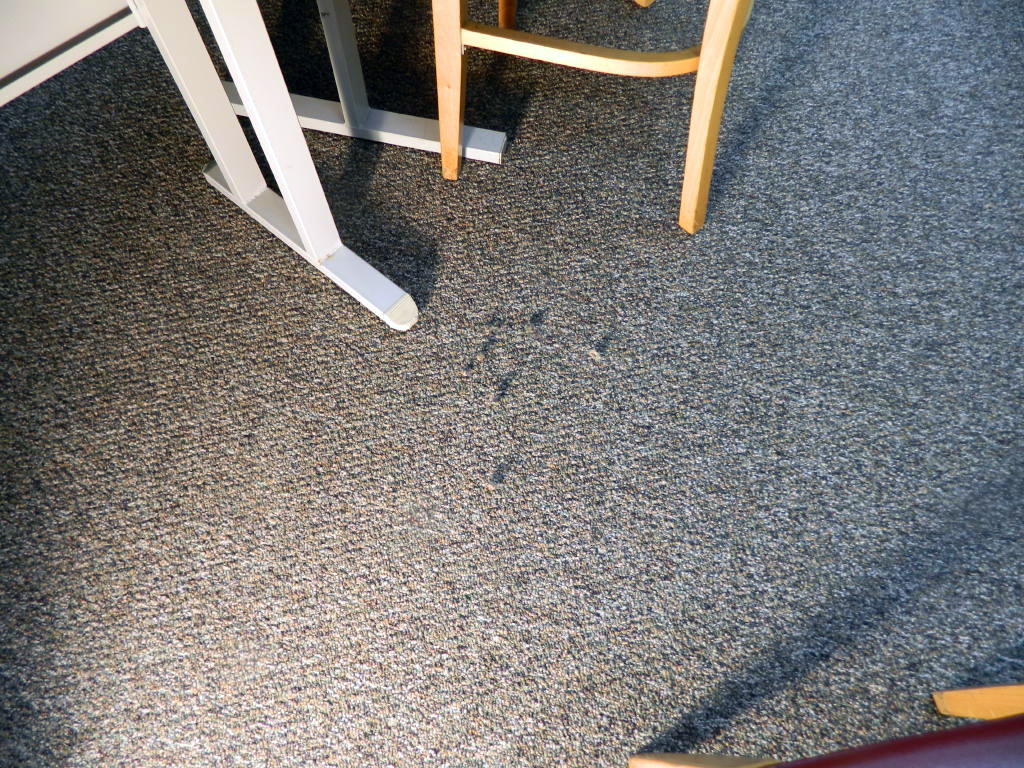 Getting rid of carpet snags with the help of floor detective Floor Inspector
