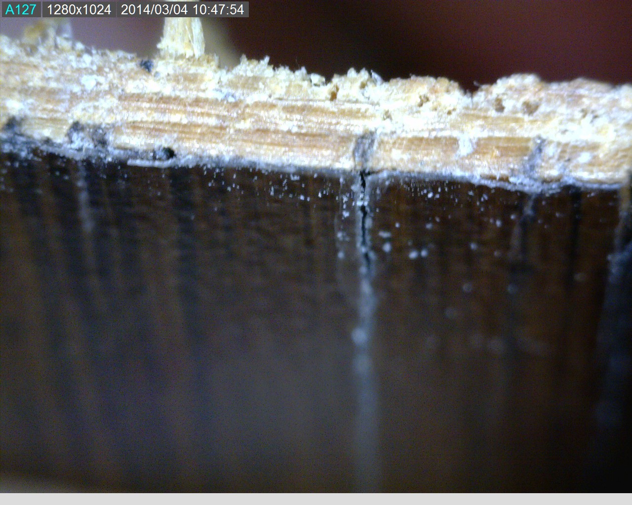 Zack Surface Check Engineered 1