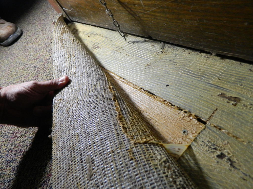 Carpet Bubbles Glue Down Defect Certified Flooring Inspector Near Me