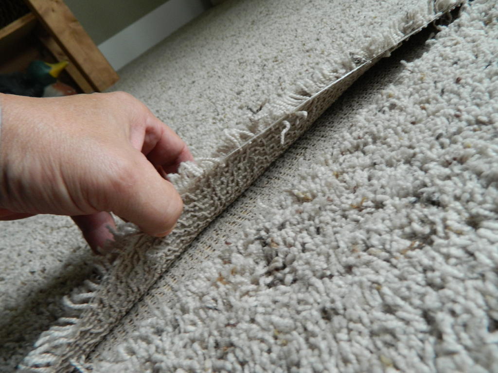 Delamination - Floor Detective