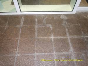 EFFLORESCENCE】-EFFLORESCENCE×Filton Total Prep - Efflorescence Remover – Innovative Concrete