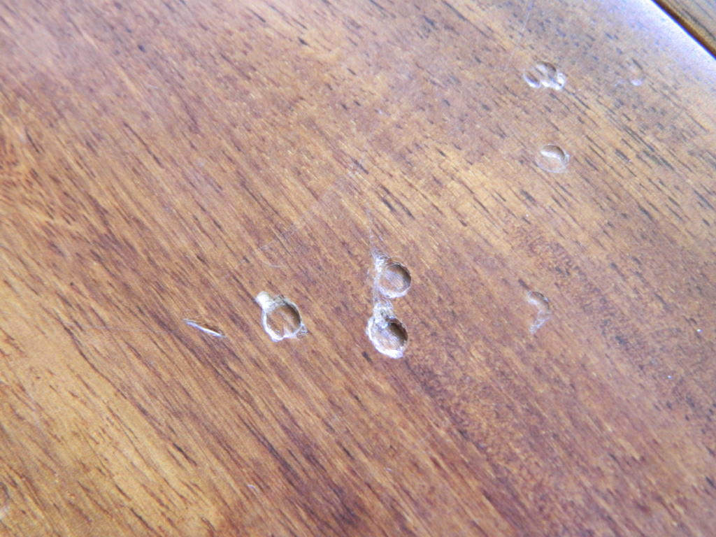 Floor Detective provides damage inspection services for wood flooring