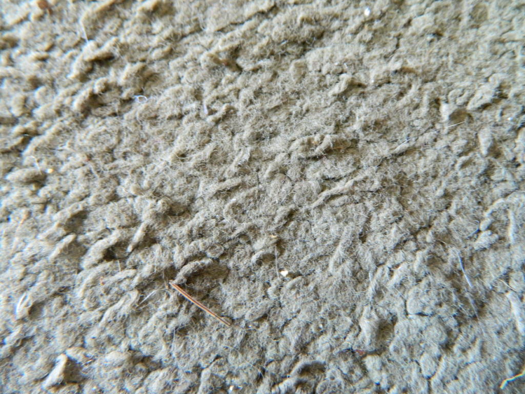 Flooring Inspection Matting Defect in Carpet Floor Inspector Near Me