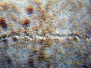 tile - Surface defect 22 (2)