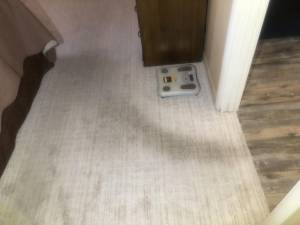 traffic lane gray332244