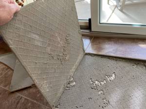 11-Dec 08 2022 11_42am-giw8