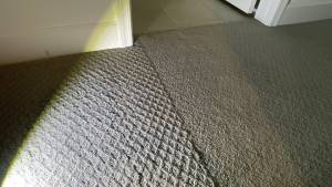 15-Mar 23 2022 12_52pm-ZH8U