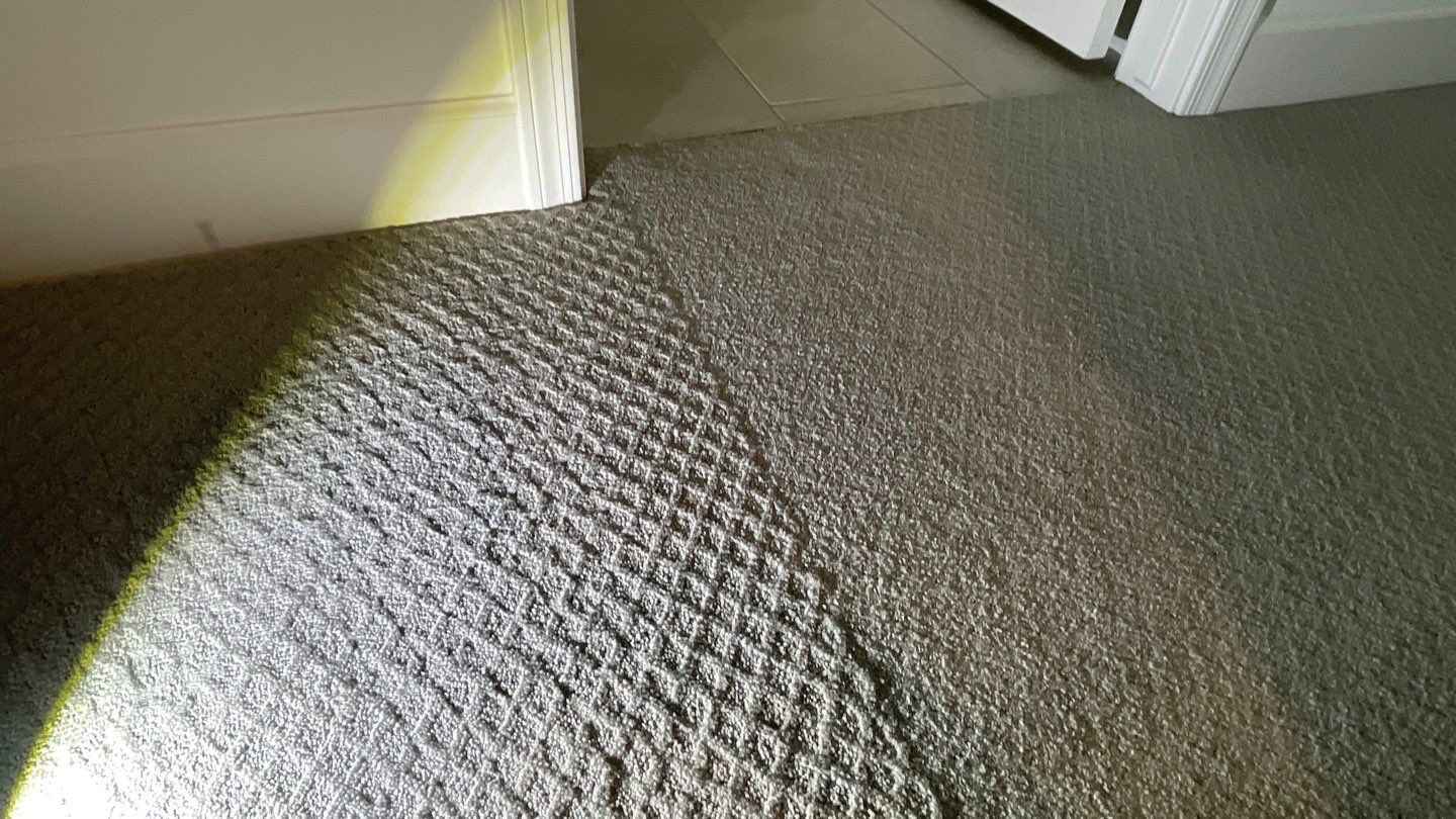 15-Mar 23 2022 12_52pm-ZH8U