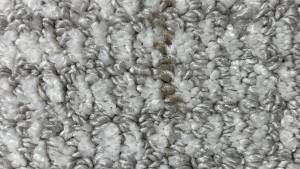 17-Sep 29 2022 02_43pm-xJEH