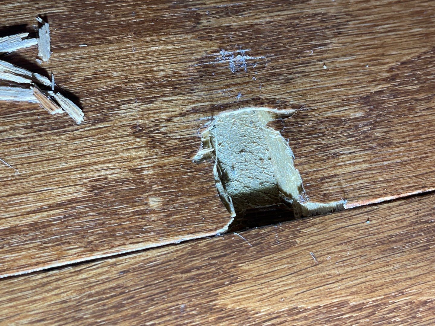 19-Aug 16 2022 03_59pm-Rroy