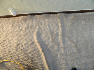 Dimensional Stability 1