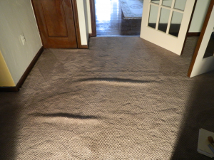 Dimensional Stability 2