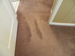 Footprint Tracking 1