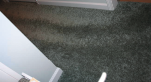 Footprint Tracking 3