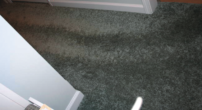 Footprint Tracking 3