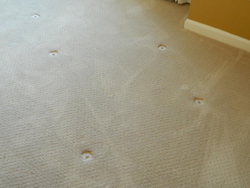 Online Flooring Claims Expert Carpet Problems & Solutions