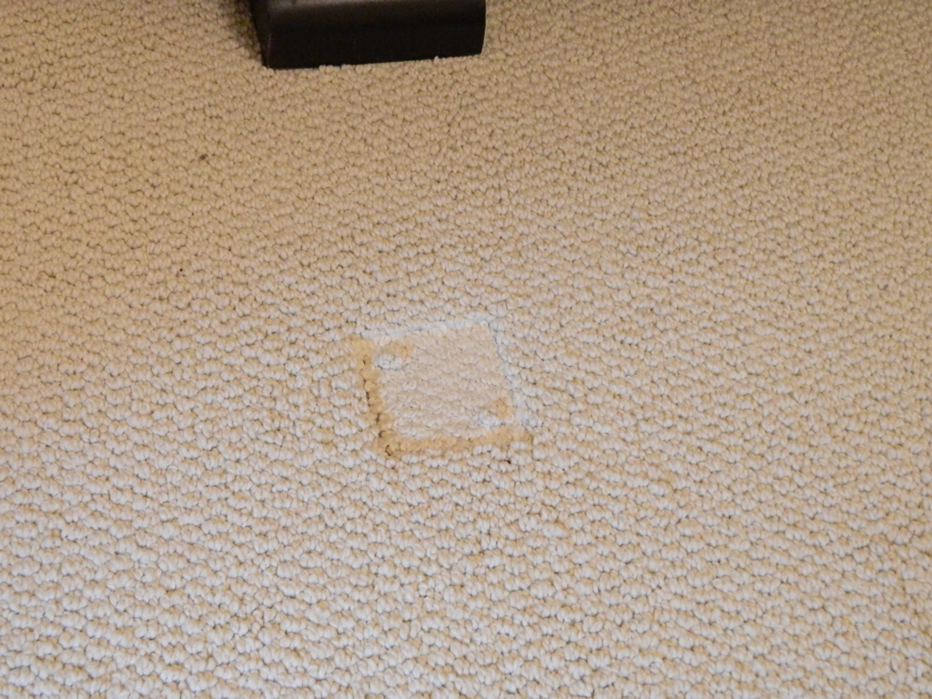Online Flooring Claims Expert Carpet Problems & Solutions