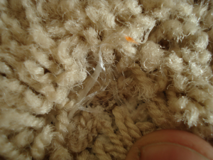 Installation Damage 1