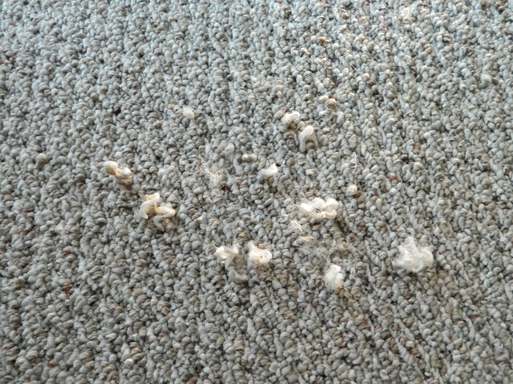 Installation Damage 2