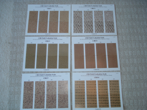 Lab - CRI - ISO Appearance Retention Scales 2