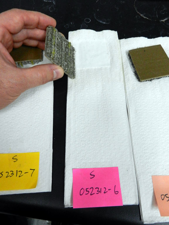 Lab - Colorfastness to Shampoo 2