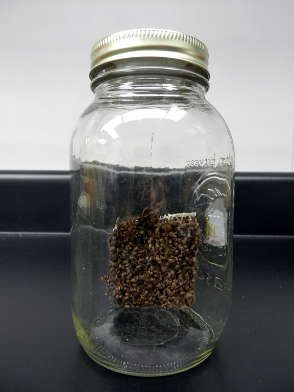 Lab - Odor Evaluations 1