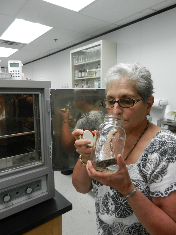 Lab - Odor Evaluations 3