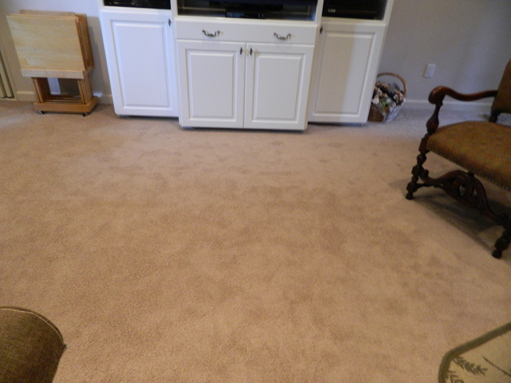 Scroop Floor Detective